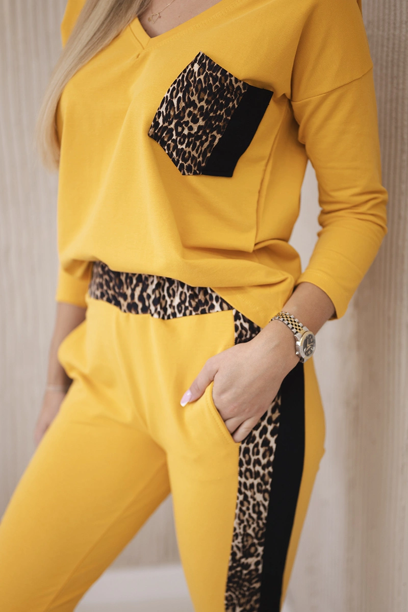Rinkinys su leopardo