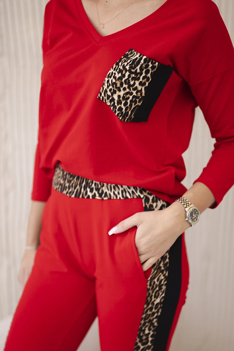 Rinkinys su leopardo